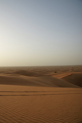 Dubai Desert safari ドバイ・デザート(砂漠)サファリ